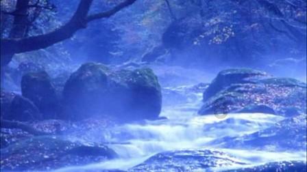 梦到鲨鱼是什么意思 梦到鲨鱼预示着什么？游戏画面
